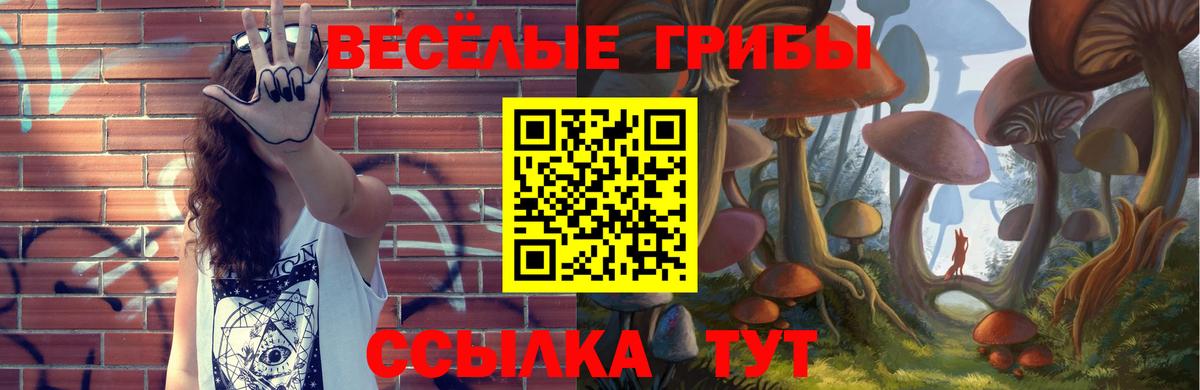 как найти наркотики  Вход с VPN  Волоколамск  Галлюциногенные грибы Psilocybe 